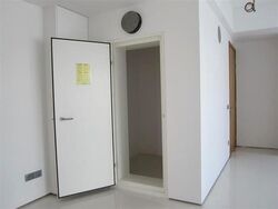 Lumiere (D2), Apartment #574720681